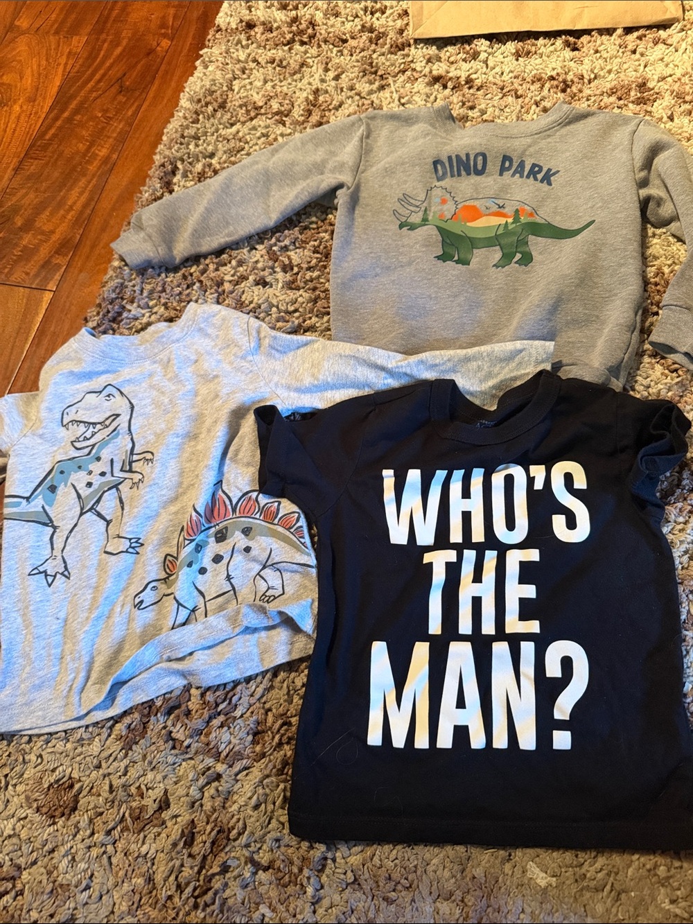 Kids' Graphic Sweatshirt - Gray Dino Park